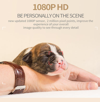 Sq11 Mini Camera Hd 1080p  | Sensor Night Vision